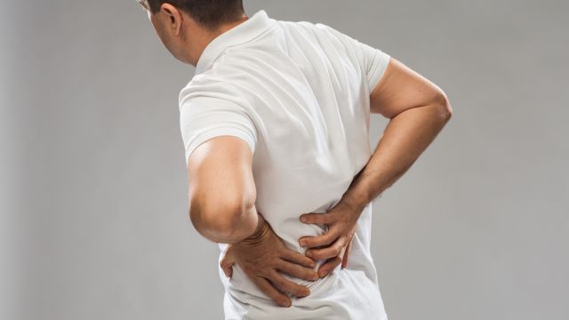 back health guide 2026